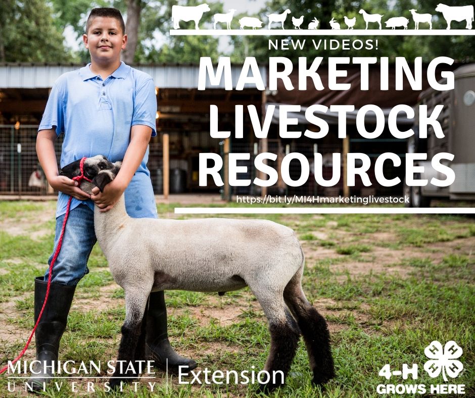 marketing livestock resources (1)